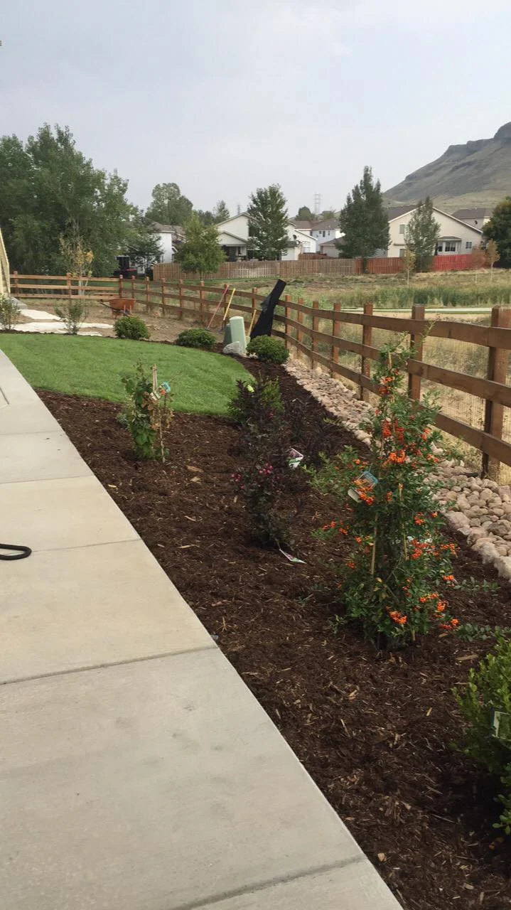 Recent sprinkler and landscape project in the Denver metro area